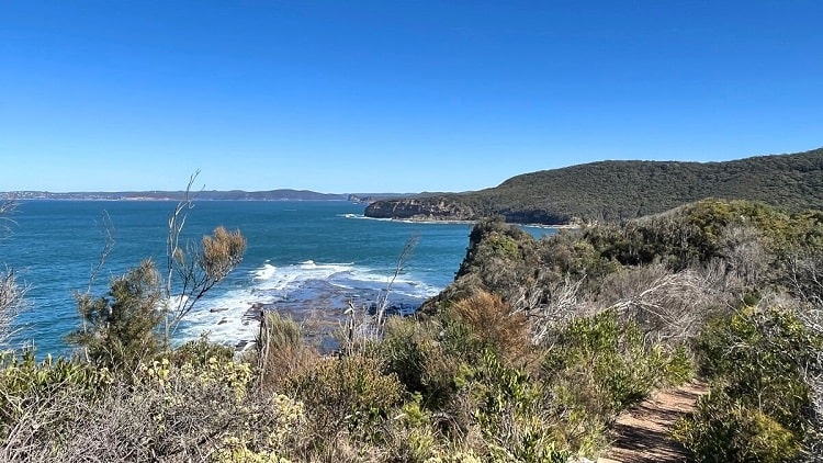 Bouddi Spur Walking Track (Mount Bouddi)