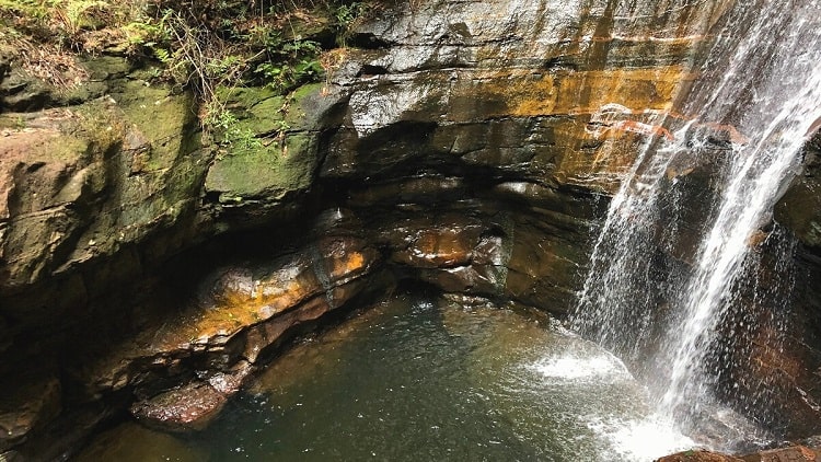 Empress Falls Walking Track