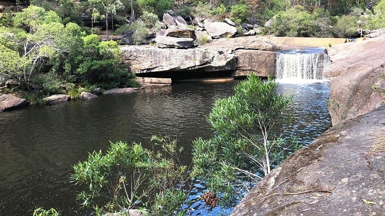 Jingga Pool Walking Track in Dharawal National Park