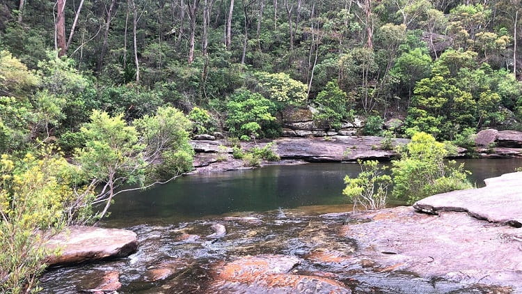 Karloo Pools Walking Track in Royal National Park