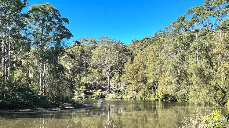 Lane Cove National Park Riverside Loop Walk
