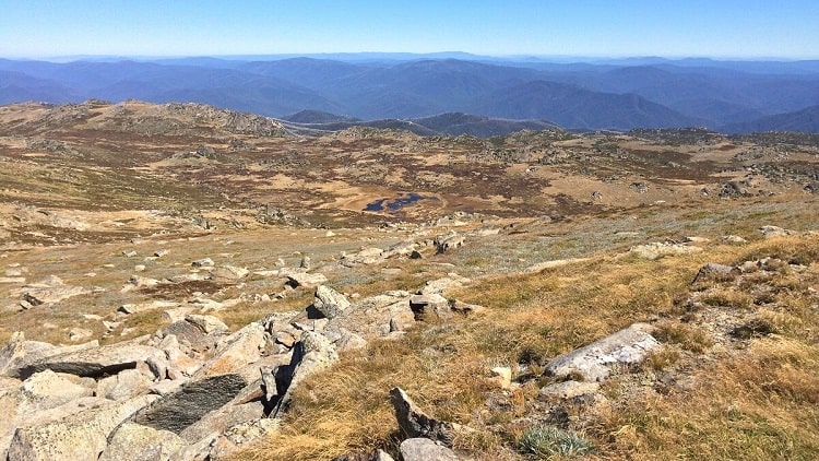 Mount Kosciuszko hiking guide (walking tracks to the summit)