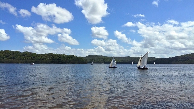Narrabeen Lagoon Trail