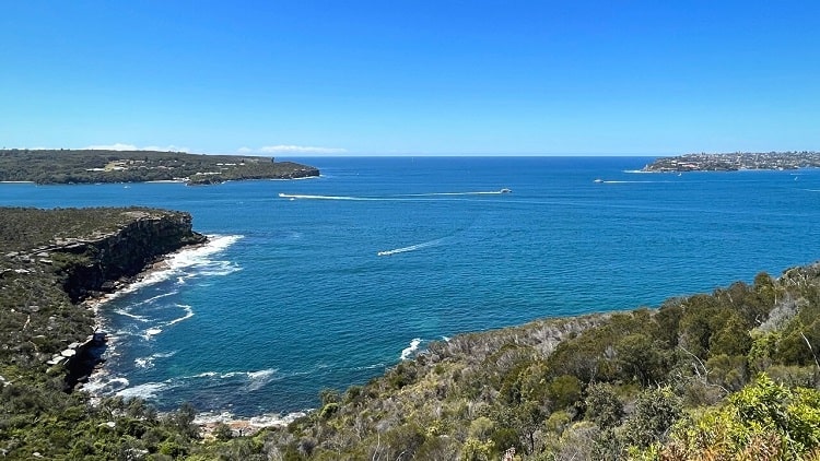 Spit Bridge to Manly Walk