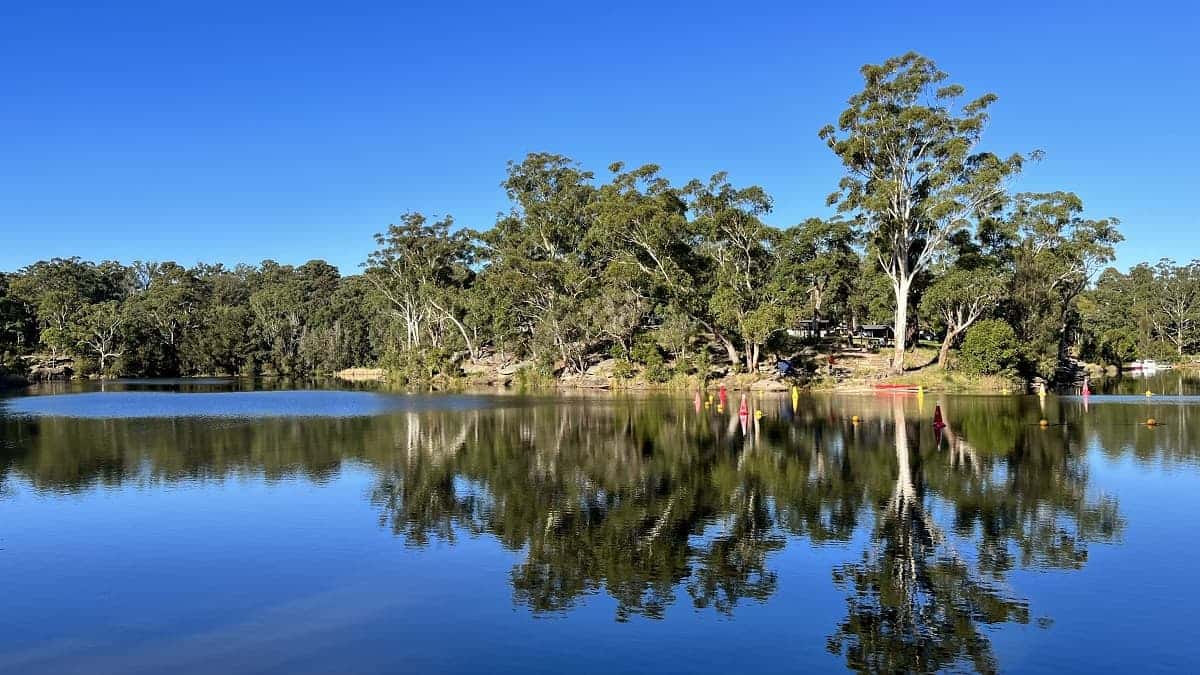 Most beautiful bush walks in Sydney