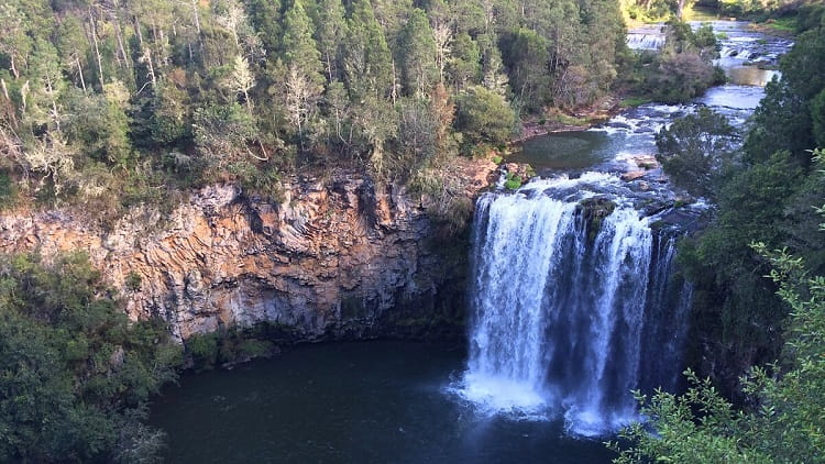 Waterfall Way (highlights and itineraries)