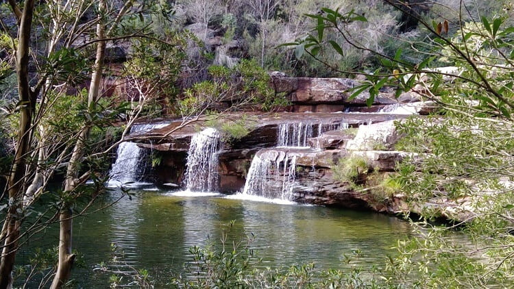 Winifred Falls Trail in Royal National Park